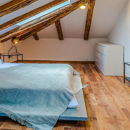Awesome In With Wifi Apartman Rijeka